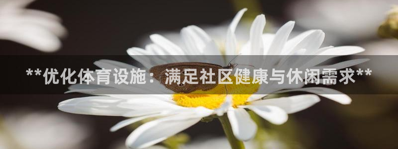 意昂体育3软件：**优化体育设施：满足社区健康与休闲