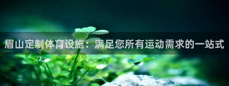 意昂3开户：眉山定制体育设施：满足您所有运动需求的一