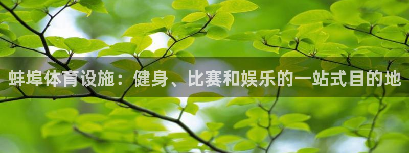 意昂体育3是干嘛的公司：蚌埠体育设施：健身、比赛和娱