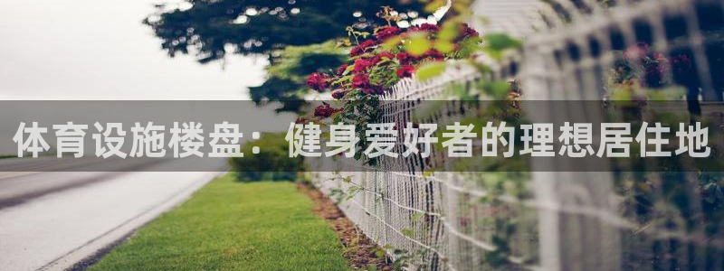 意昂3集团官网首页：体育设施楼盘：健身爱好者的理想居