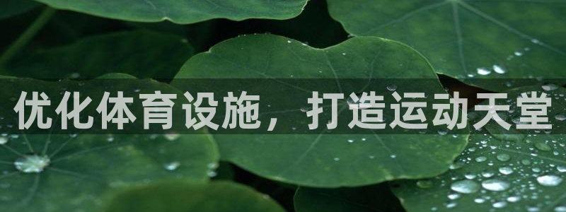 意昂3新能源：优化体育设施，打造运动天堂