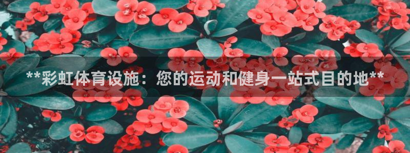 意昂3娱乐首页网站大全